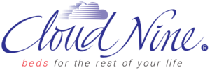 Cloud Nine Logo HR